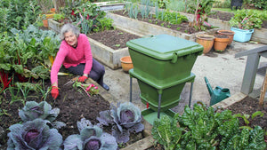 Why We Love The Hungry Bin Worm Composter