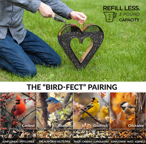 Be Still My Heart Fly Thru™ Heart-Shaped Copper Bird Feeder With Mesh Panels