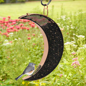 Over The Moon Copper Bird Feeder, With Mesh Panels