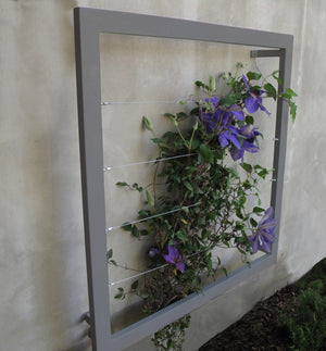 Ina Wall Trellis - Regular