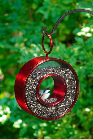 Just in Time Fly-Thru Bird Feeder