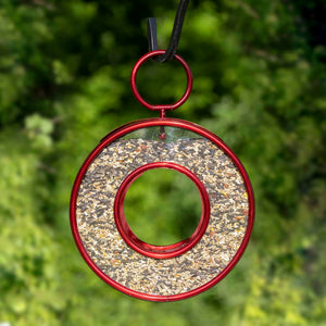 Just in Time Fly-Thru Bird Feeder