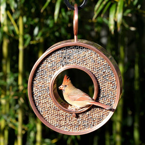 Just in Time Fly-Thru Copper Bird Feeder, Mesh Panels