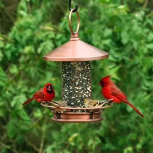 Dine & Dash Copper Bird Feeder