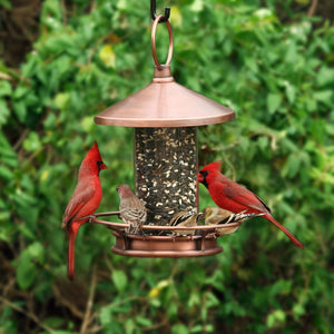 Dine & Dash Copper Bird Feeder