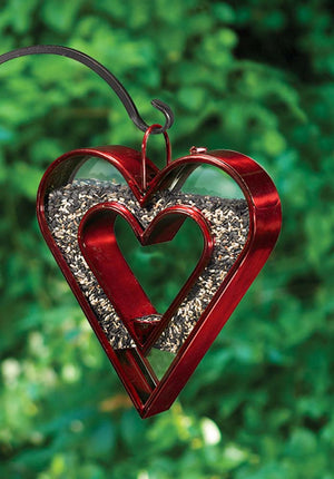 Be Still My Heart Fly Thru™ Heart-Shaped Bird Feeder