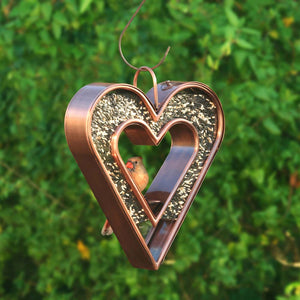 Be Still My Heart Fly Thru™ Heart-Shaped Bird Feeder