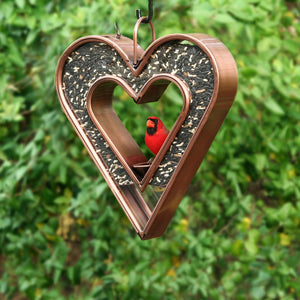 Be Still My Heart Fly Thru™ Heart-Shaped Bird Feeder