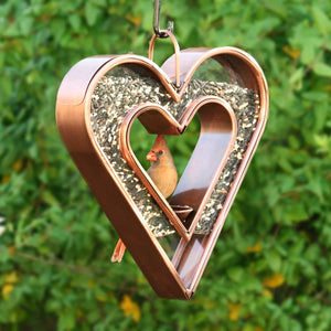 Be Still My Heart Fly Thru™ Heart-Shaped Bird Feeder