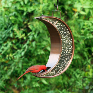 Over The Moon Bird Feeder