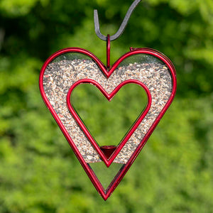 Be Still My Heart Fly Thru™ Heart-Shaped Bird Feeder