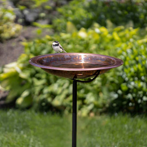 Fired Copper Bird Bath with Garden Pole