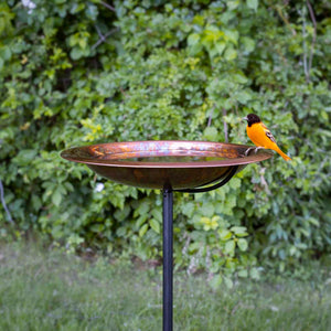 Fired Copper Bird Bath with Garden Pole