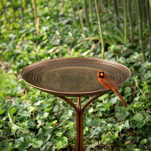 20" Copper Tranquility Bird Bath with Stand