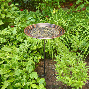 20" Bronze Ripples Bird Bath with Garden Pole