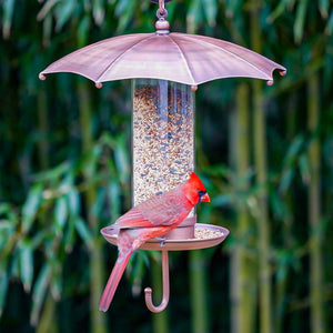 Rainy Day Umbrella-Inspired Bird Feeder