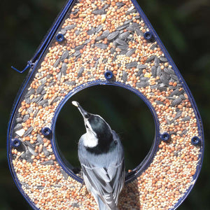 Rain Drop Fly-Thru Bird Feeder