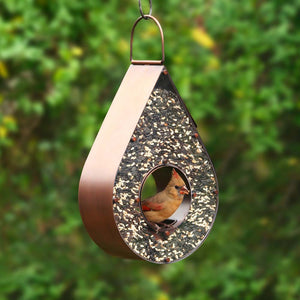 Rain Drop Fly-Thru Bird Feeder