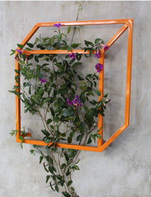 Pablo Wall Trellis