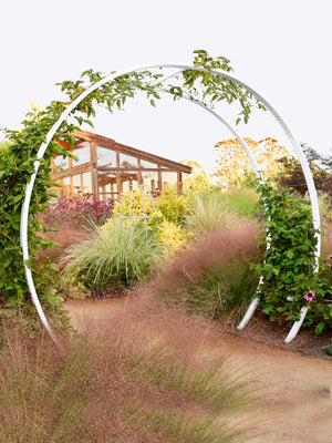 Gracie Modern Arbor