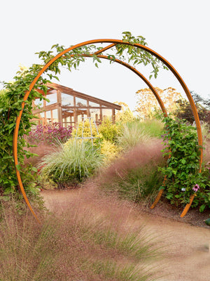 Gracie Modern Arbor