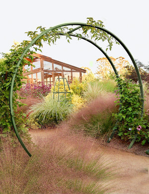 Gracie Modern Arbor