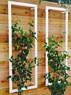 Ina Wall Trellis – Large