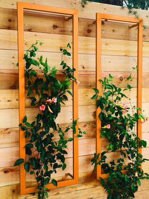 Ina Wall Trellis – Large