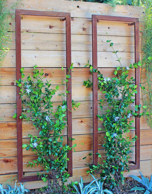 Ina Wall Trellis – Large