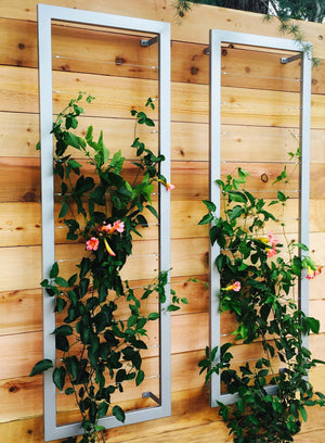 Ina Wall Trellis – Large