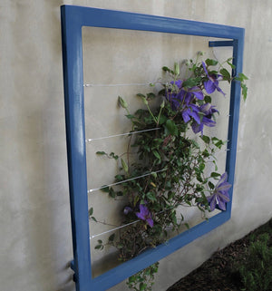 Ina Wall Trellis - Regular