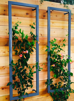 Ina Wall Trellis – Large