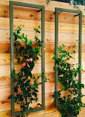 Ina Wall Trellis – Large