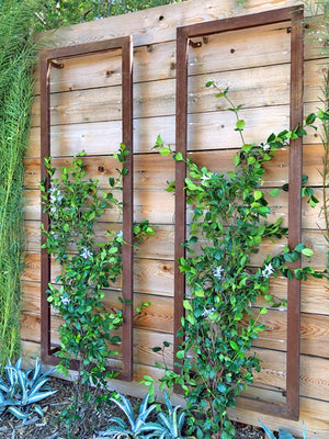 Ina Wall Trellis – Large