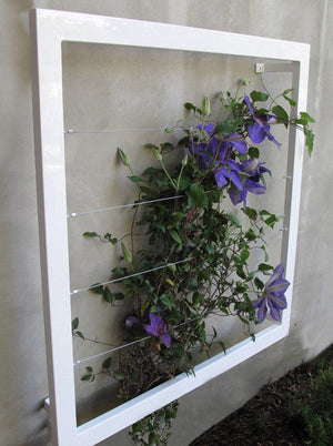 Ina Wall Trellis - Regular