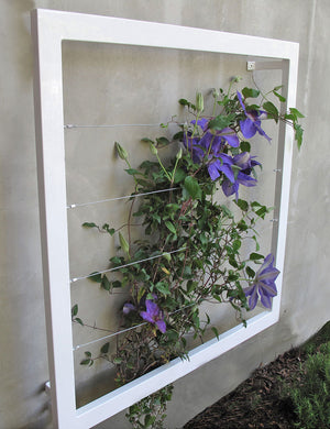 Ina Wall Trellis - Regular