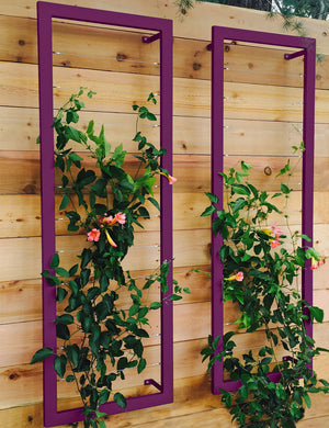 Ina Wall Trellis – Large