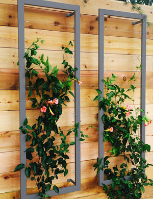 Ina Wall Trellis – Large