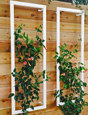 Ina Wall Trellis – Large