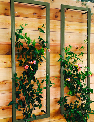 Ina Wall Trellis – Large