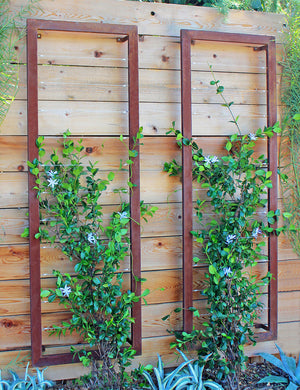 Ina Wall Trellis – Large