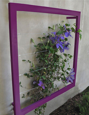 Ina Wall Trellis - Regular