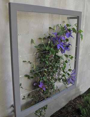 Ina Wall Trellis - Regular