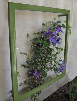 Ina Wall Trellis - Regular