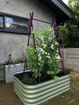 Modern A-Frame Trellis