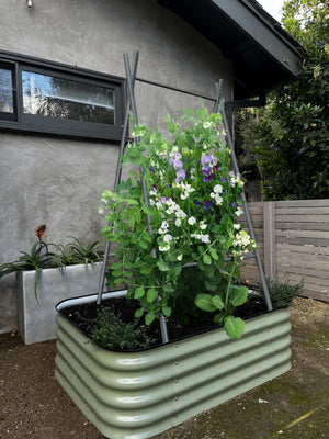 Modern A-Frame Trellis