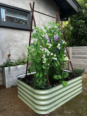 Modern A-Frame Trellis