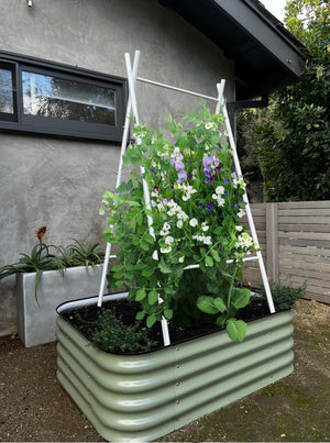 Modern A-Frame Trellis