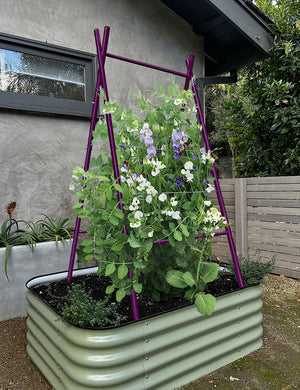 Modern A-Frame Trellis