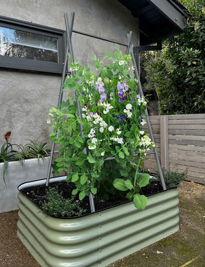 Modern A-Frame Trellis